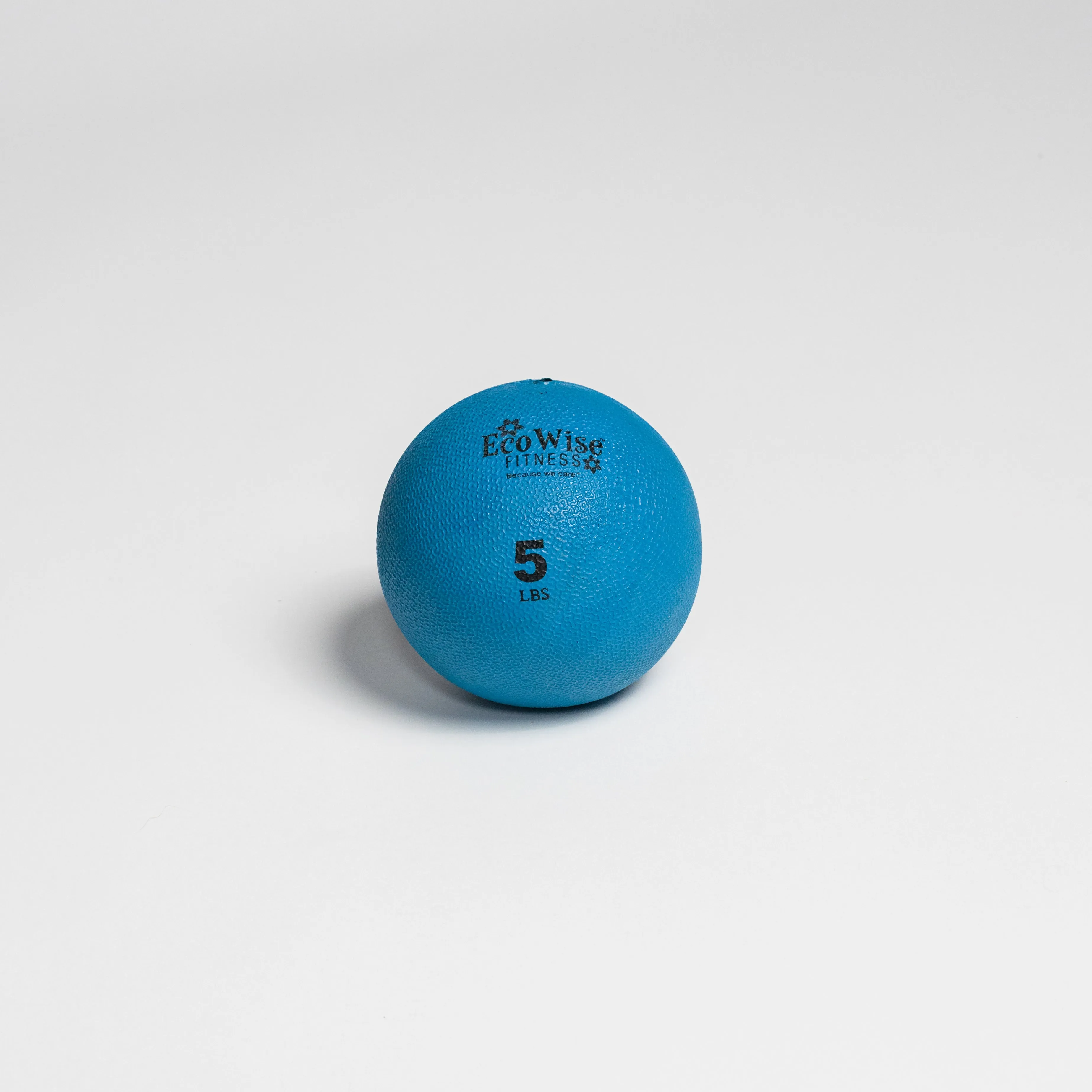 EcoWise Weight Ball