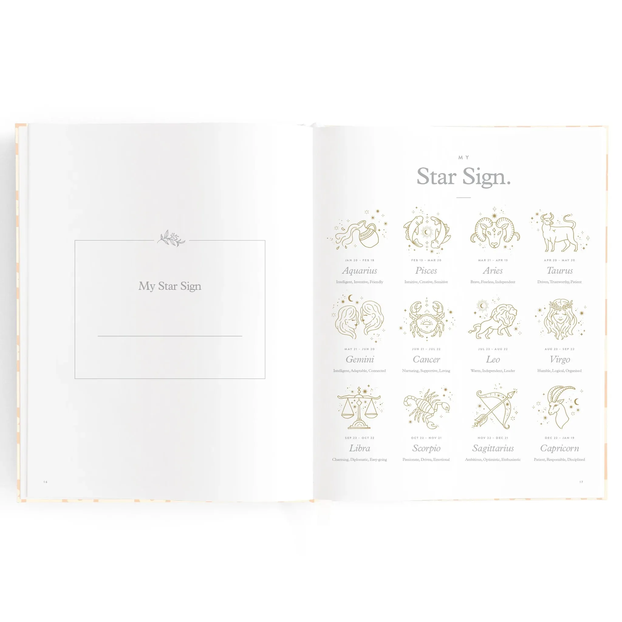 Fox & Fallow - Baby Book Daisy Grid