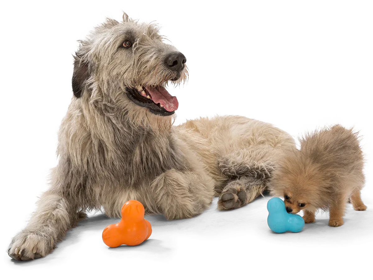 West Paw - Tux Treat Doy Toy